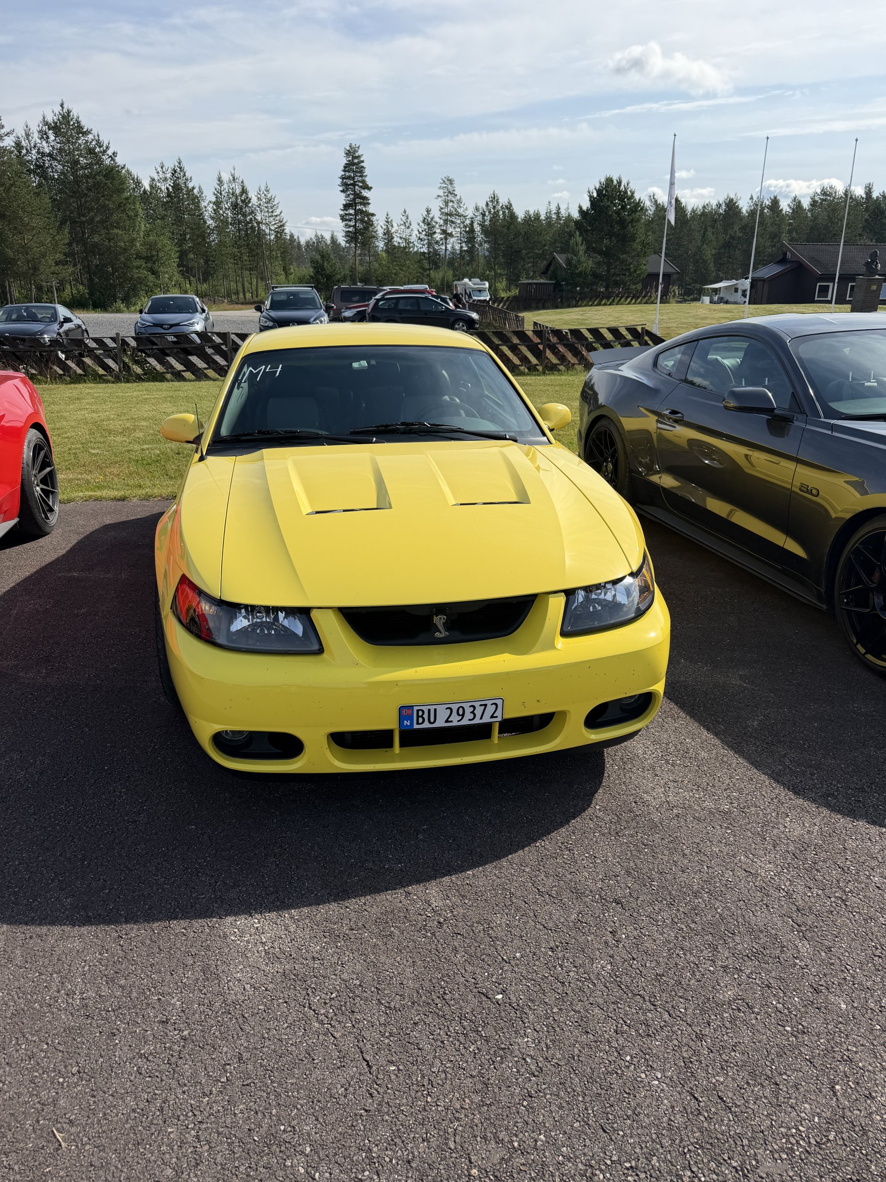 Bilde 68 fra Mustang Speed Week 2026