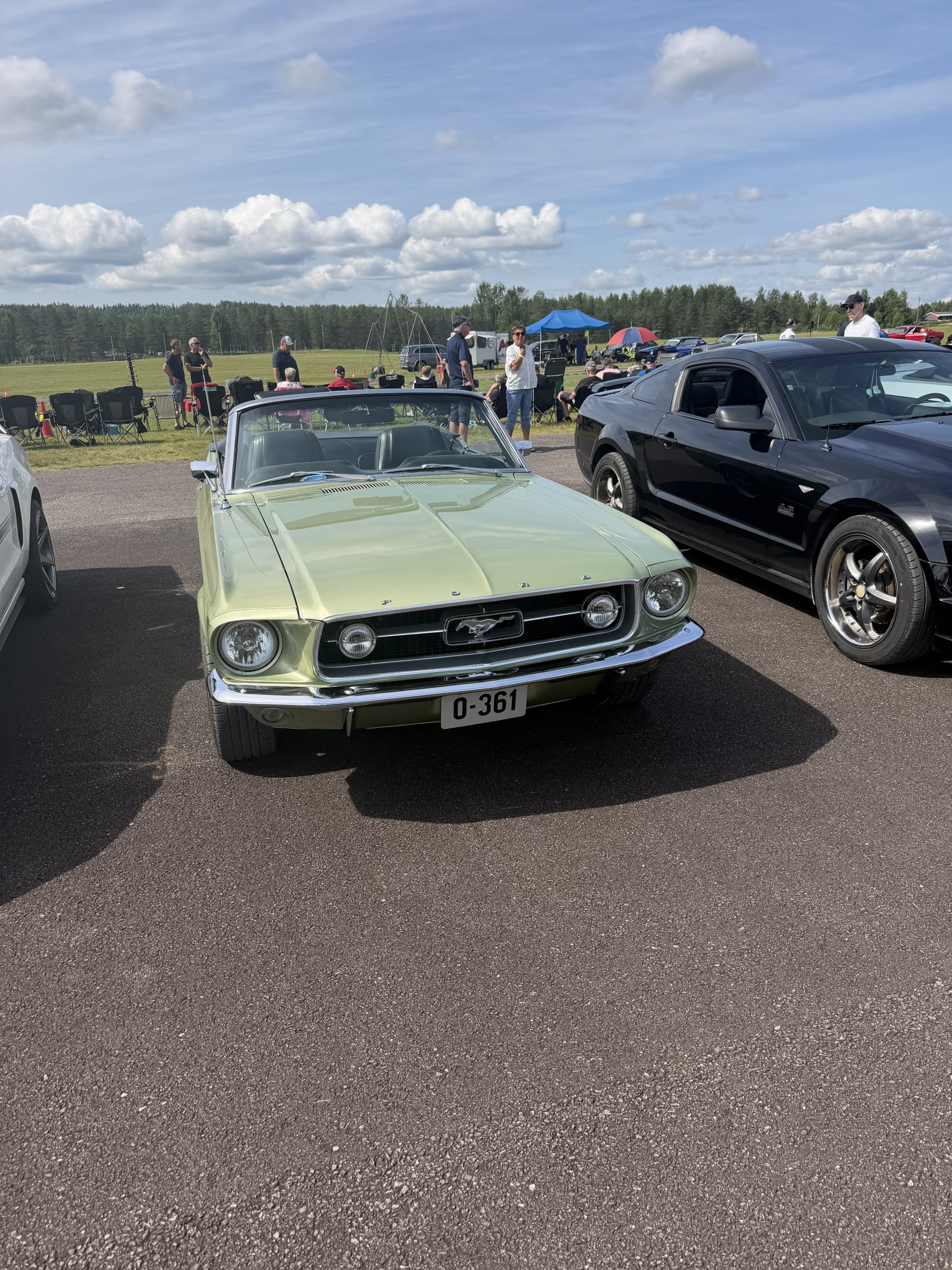 Bilde 9 fra Mustang Speed Week 2026