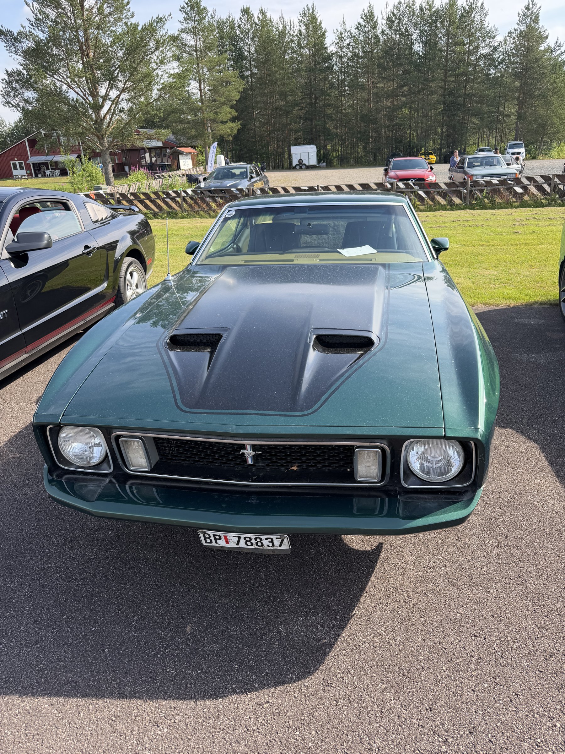 Bilde 53 fra Mustang Speed Week 2026