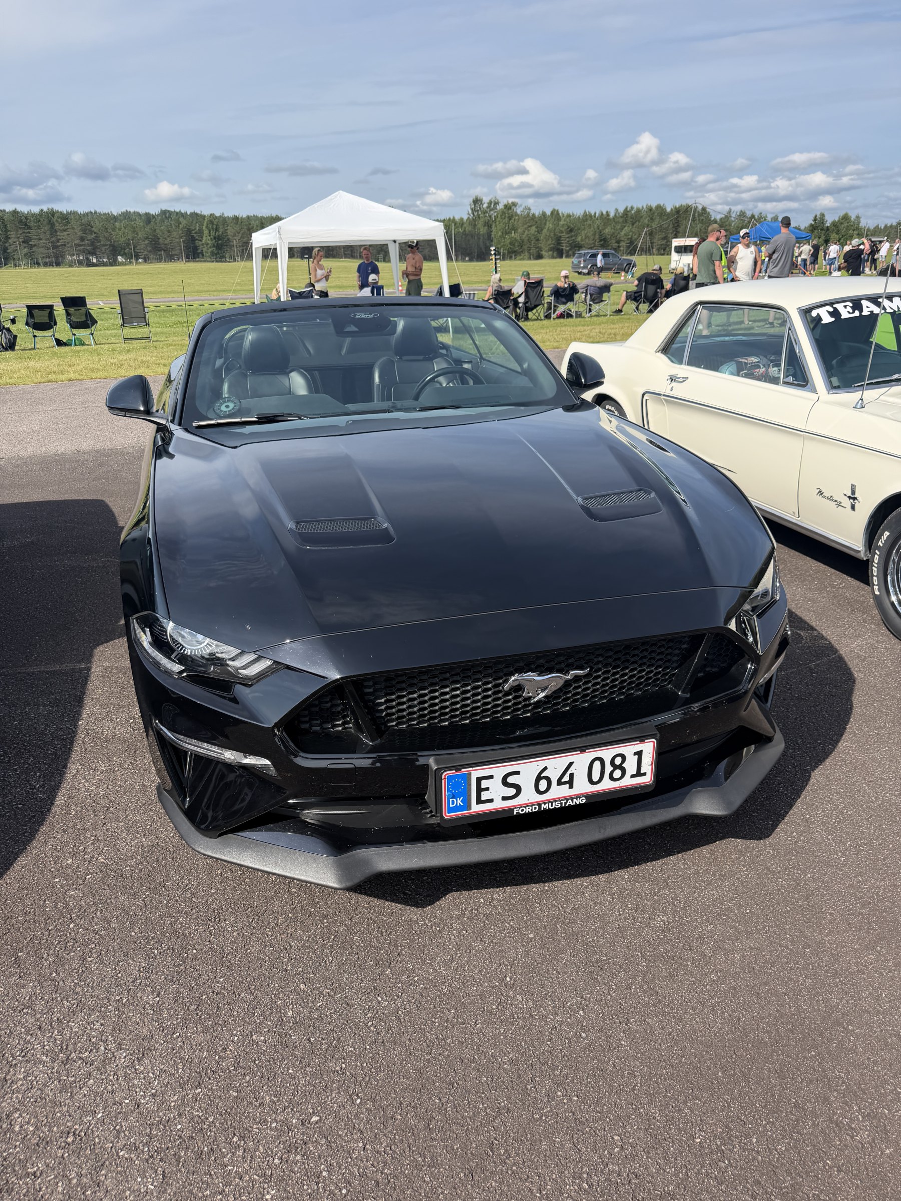 Bilde 18 fra Mustang Speed Week 2026