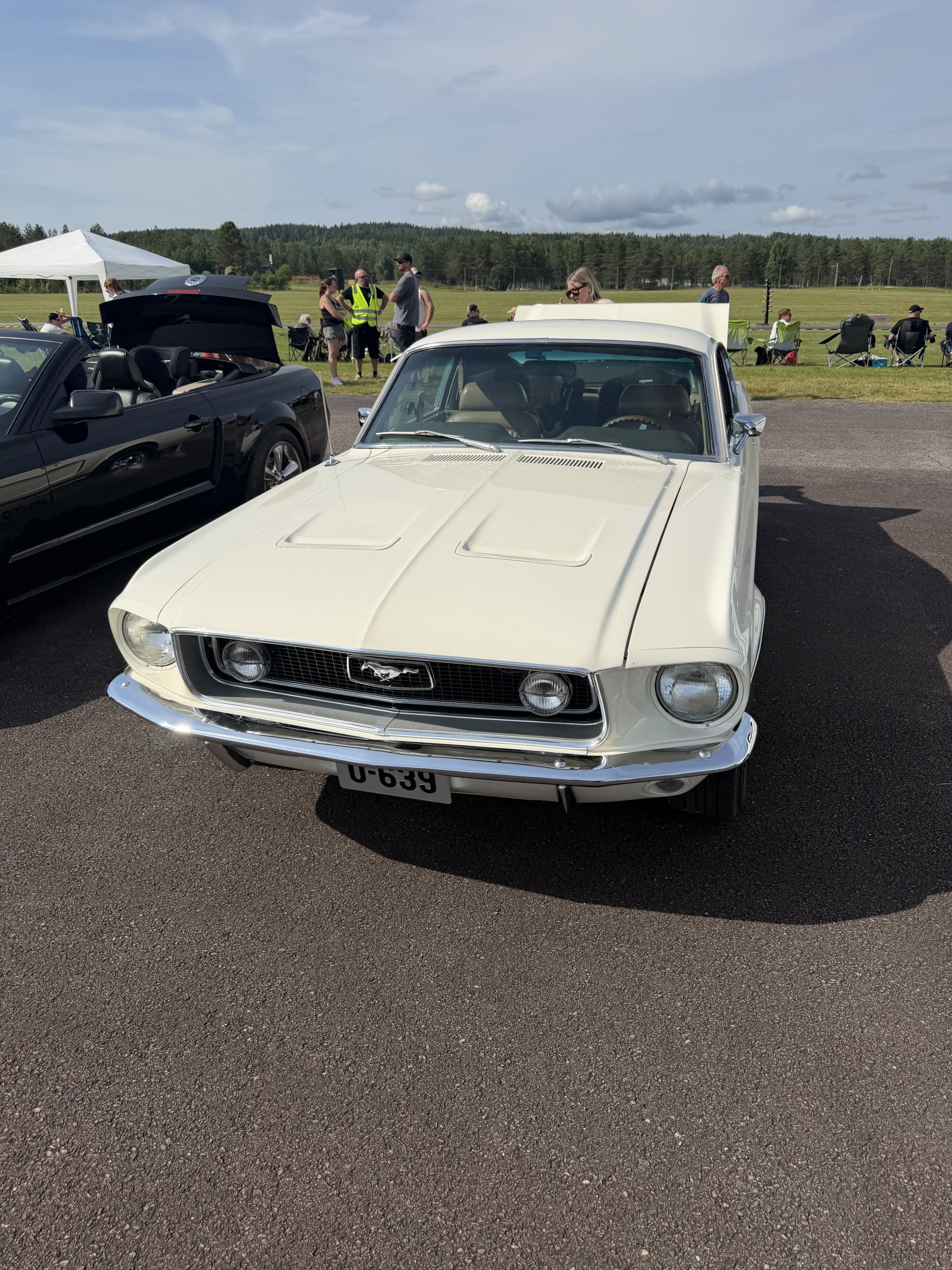 Bilde 23 fra Mustang Speed Week 2026