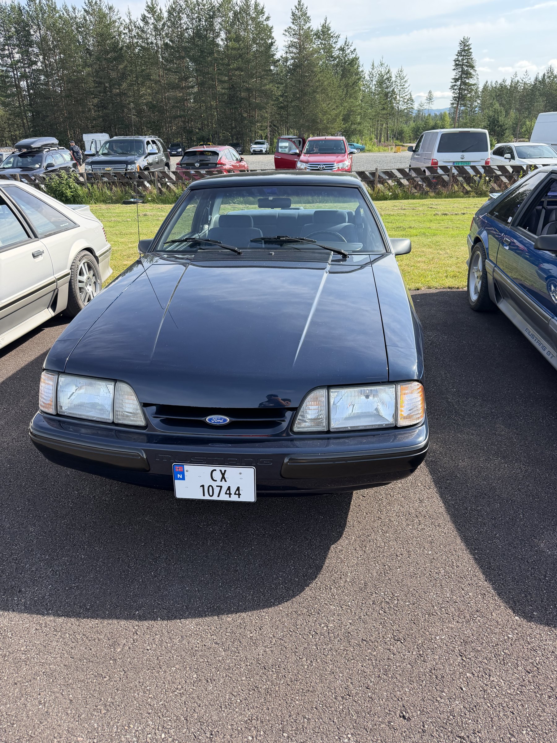 Bilde 60 fra Mustang Speed Week 2026