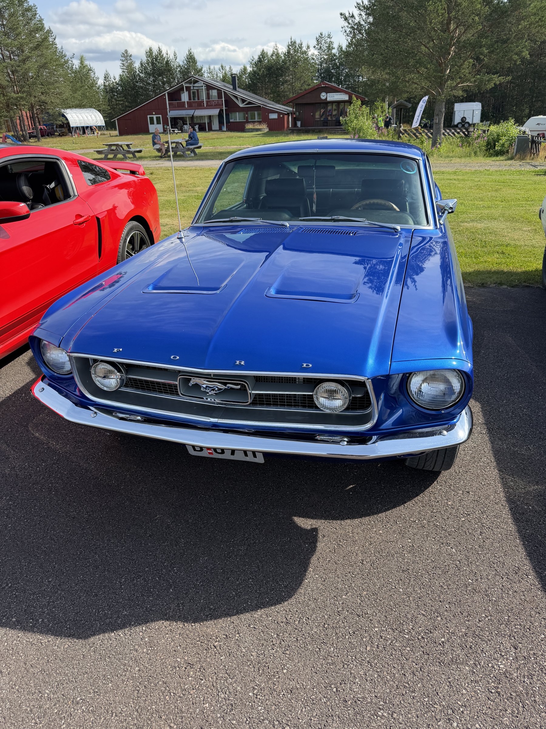 Bilde 49 fra Mustang Speed Week 2026