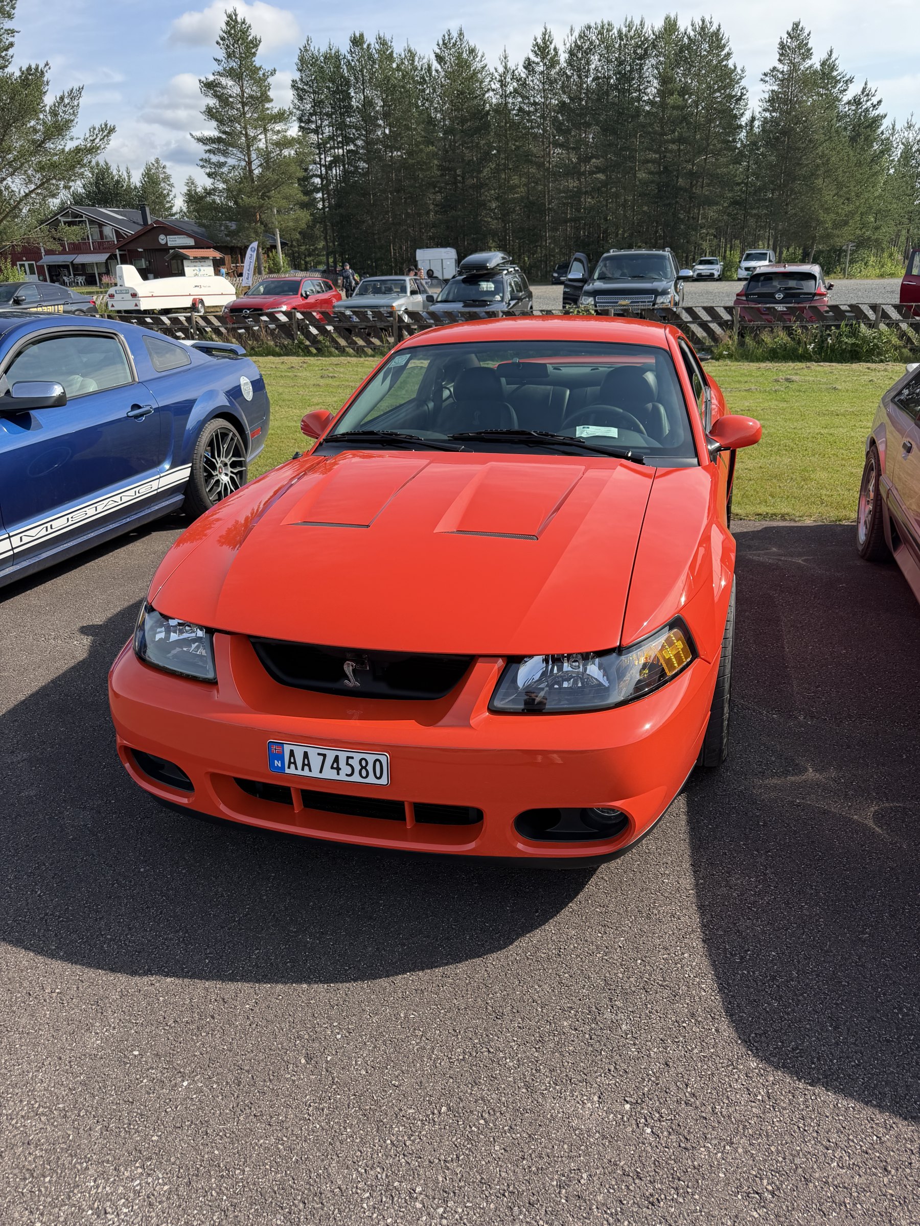 Bilde 58 fra Mustang Speed Week 2026