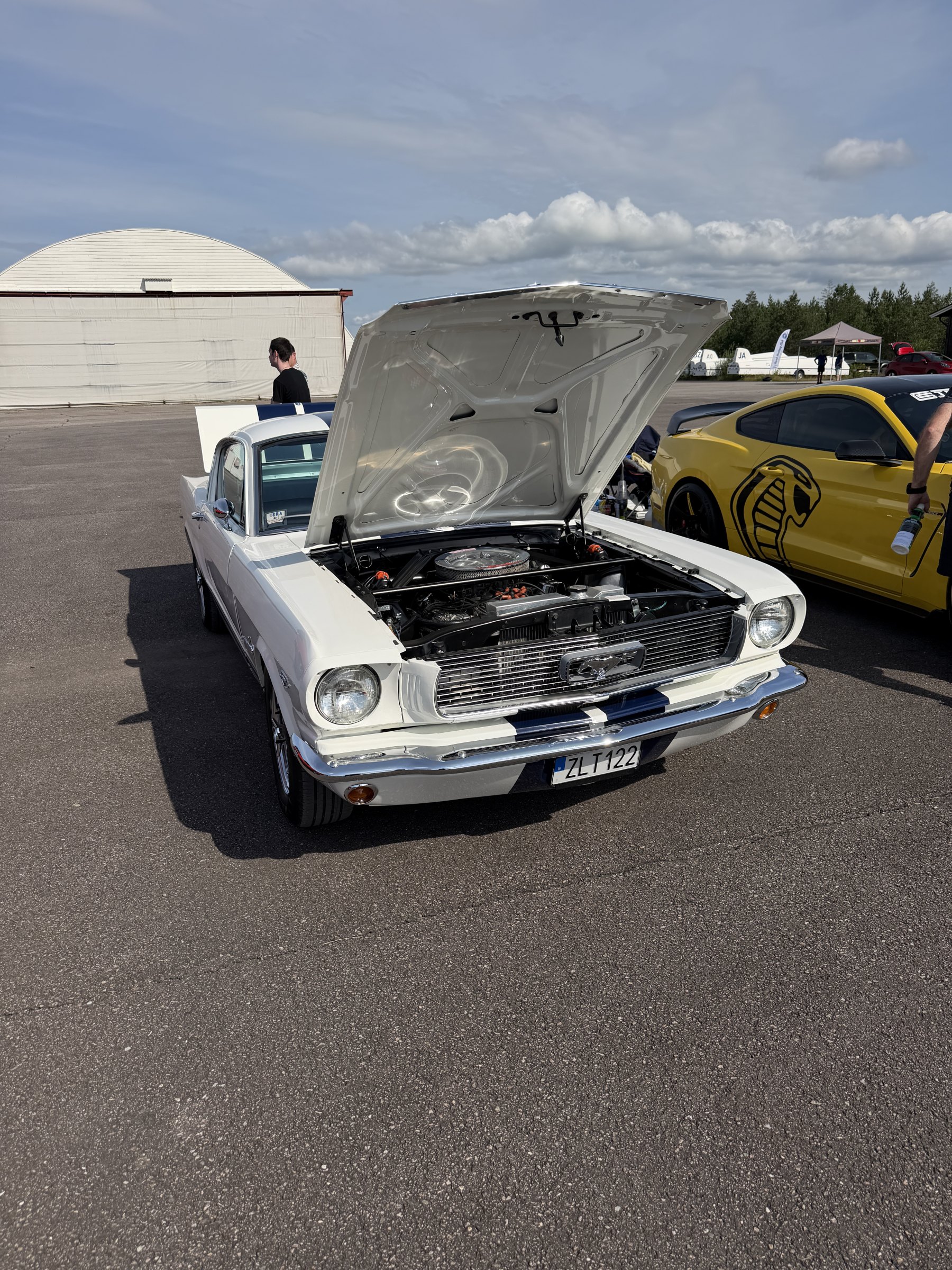 Bilde 43 fra Mustang Speed Week 2026