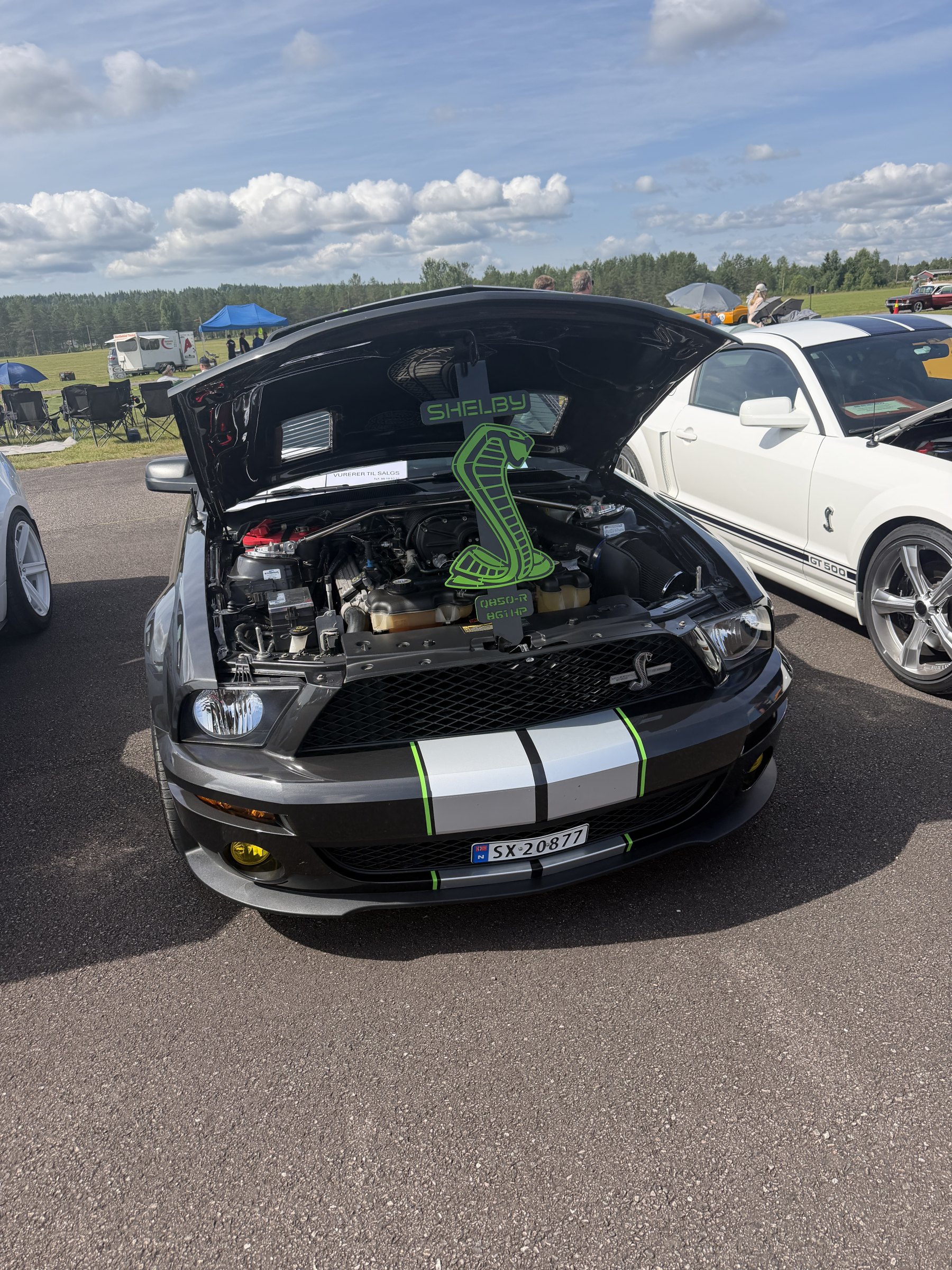 Bilde 3 fra Mustang Speed Week 2026