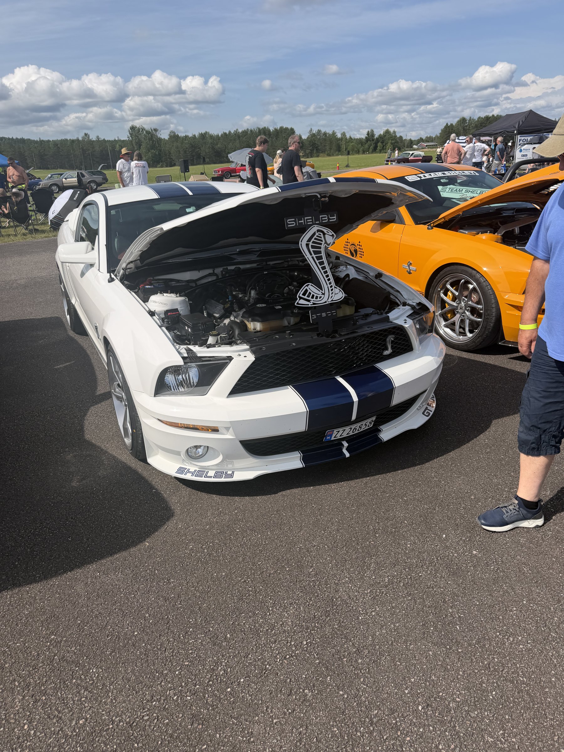 Bilde 2 fra Mustang Speed Week 2026