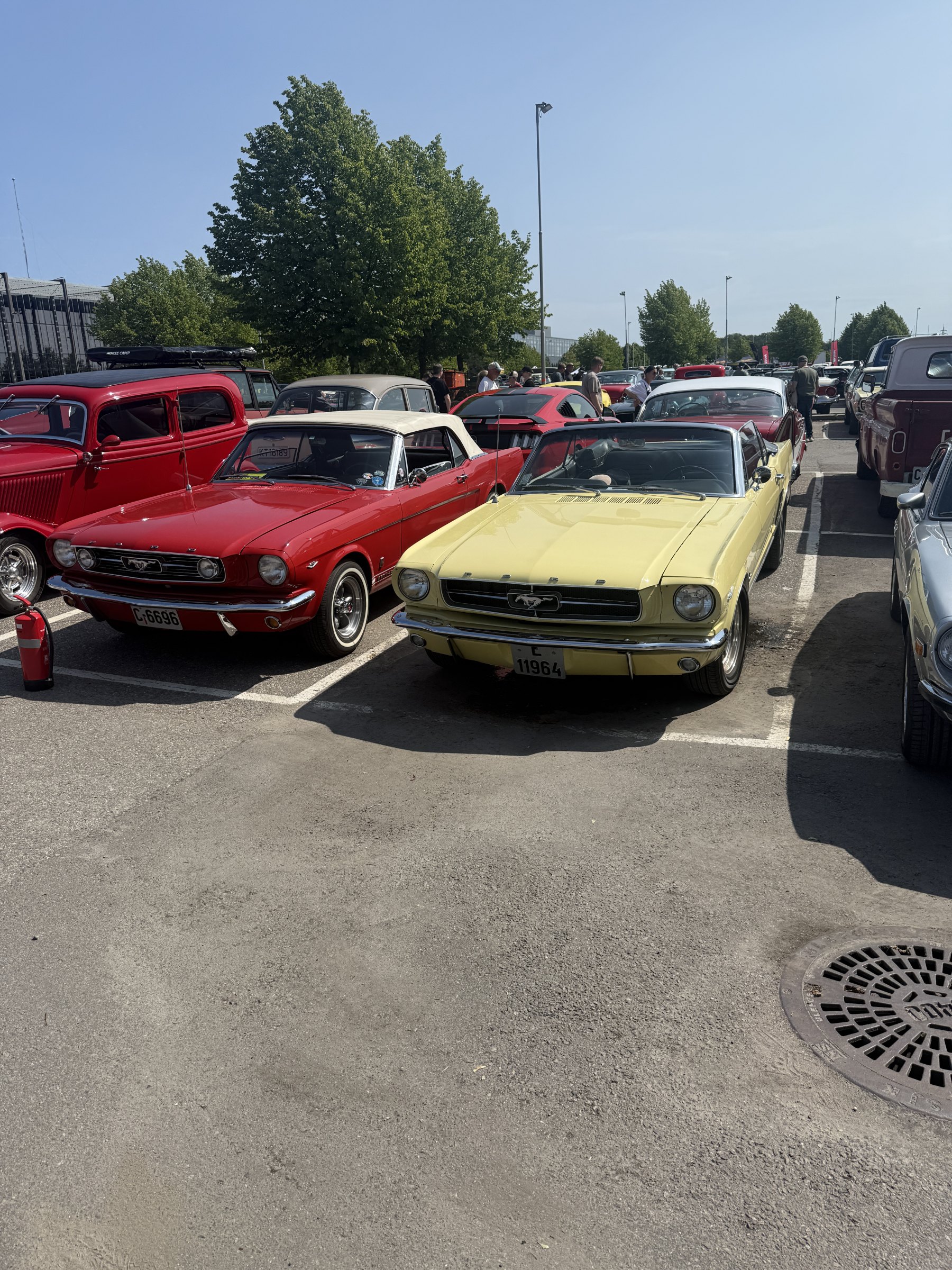 Bilde 24 fra Fuelfest NOVA Spektrum AMCAR