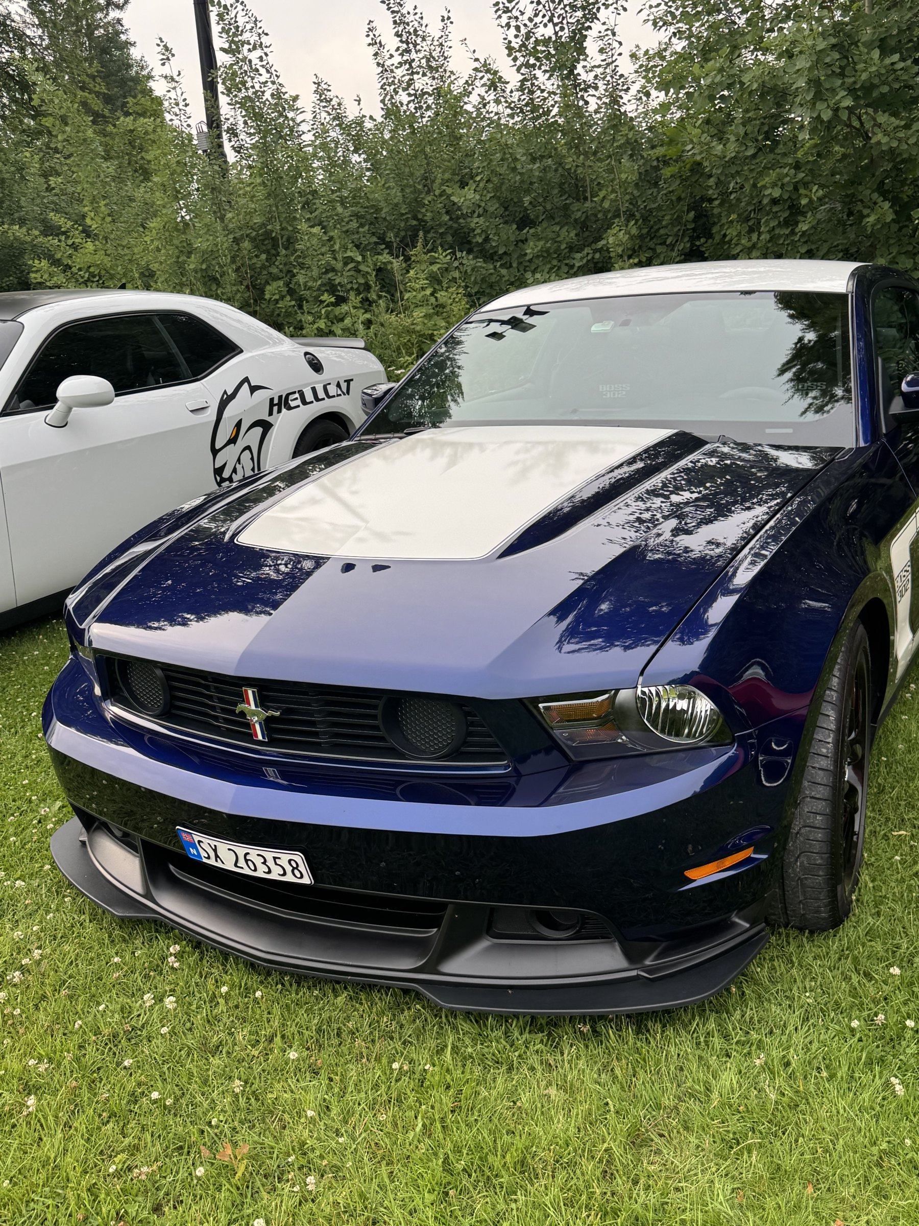 Bilde 3 fra Min 2012 Mustang Boss 302