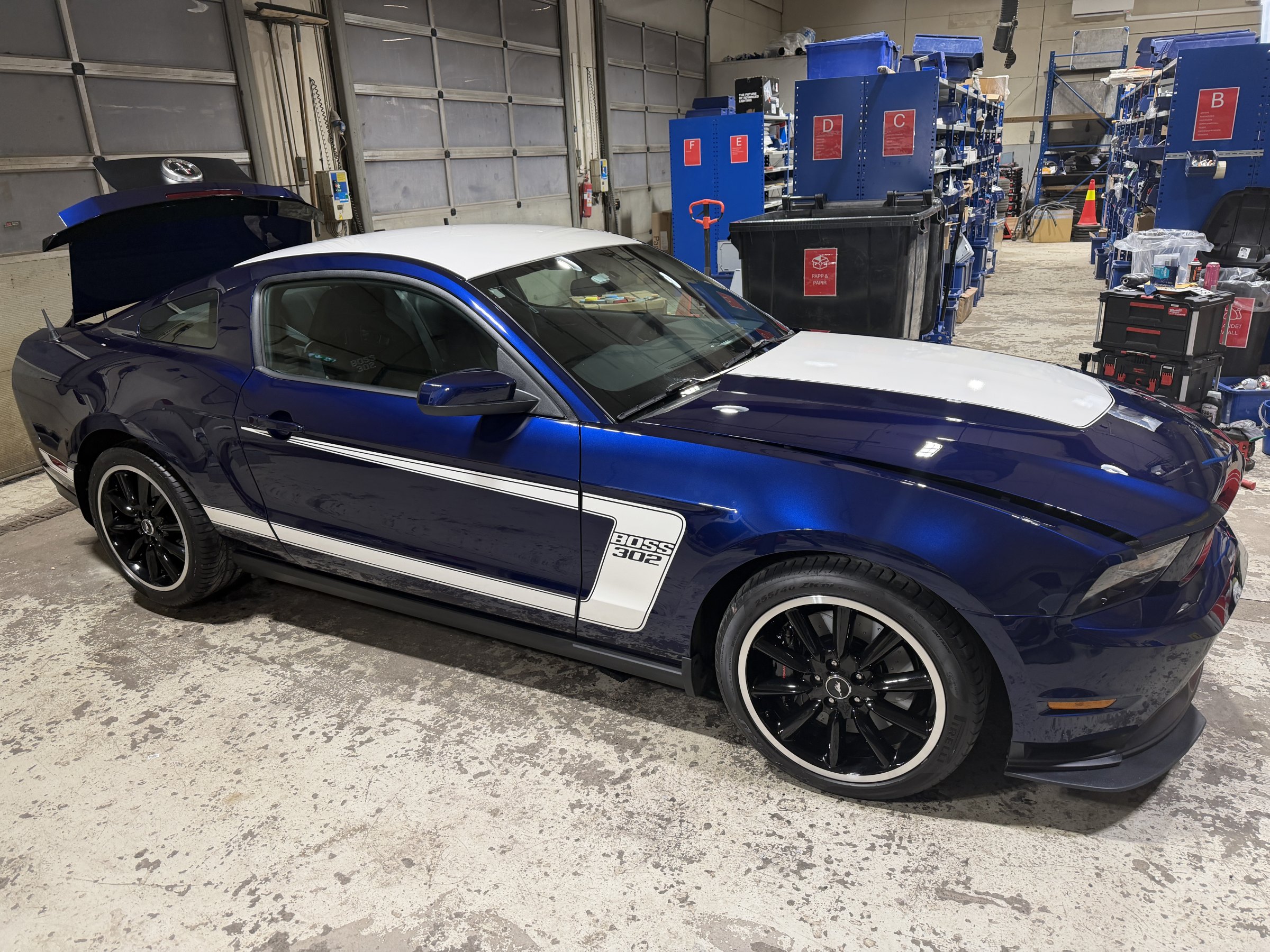 Bilde 13 fra Min 2012 Mustang Boss 302