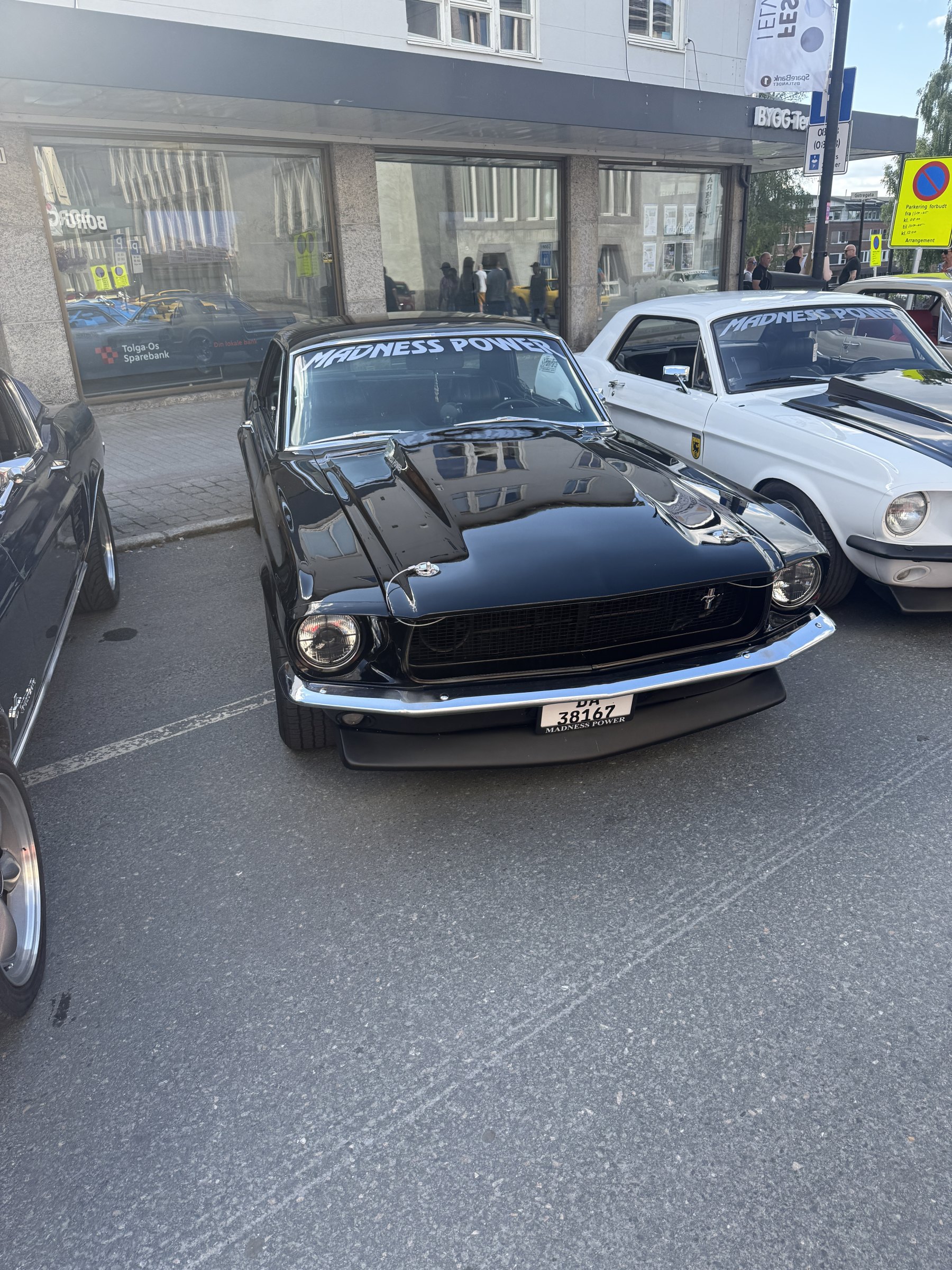 Bilde 4 fra Mustang Speed Week 2025