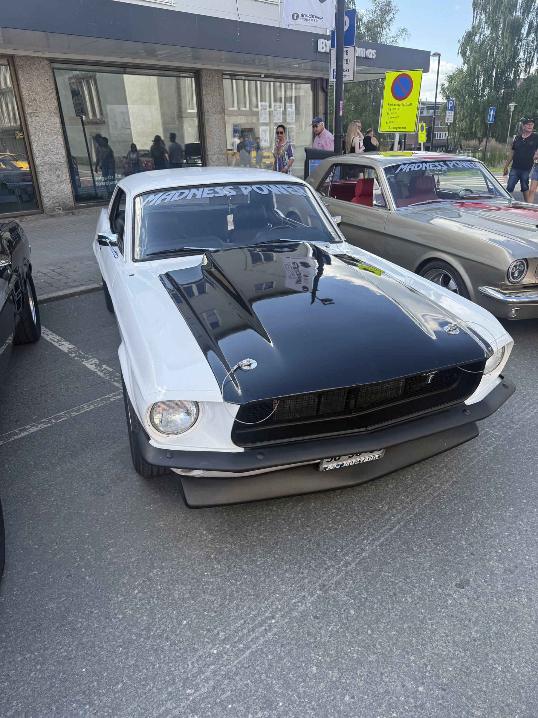 Bilde 5 fra Mustang Speed Week 2025