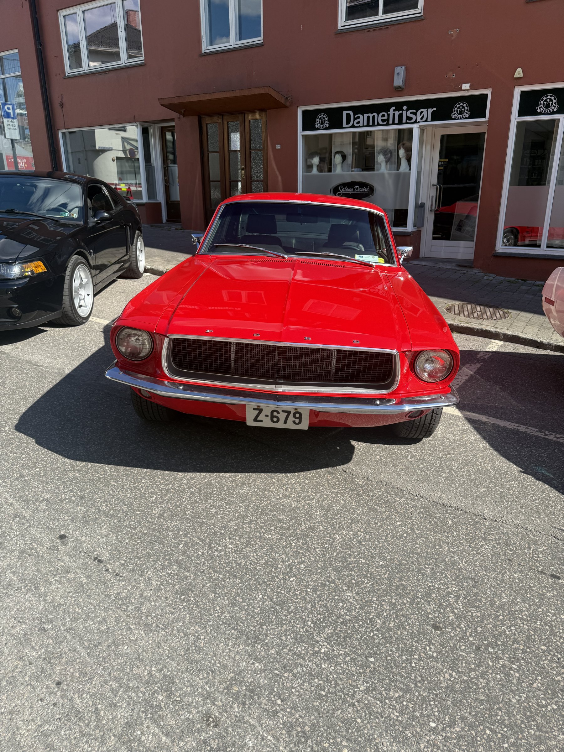 Bilde 27 fra Mustang Speed Week 2025