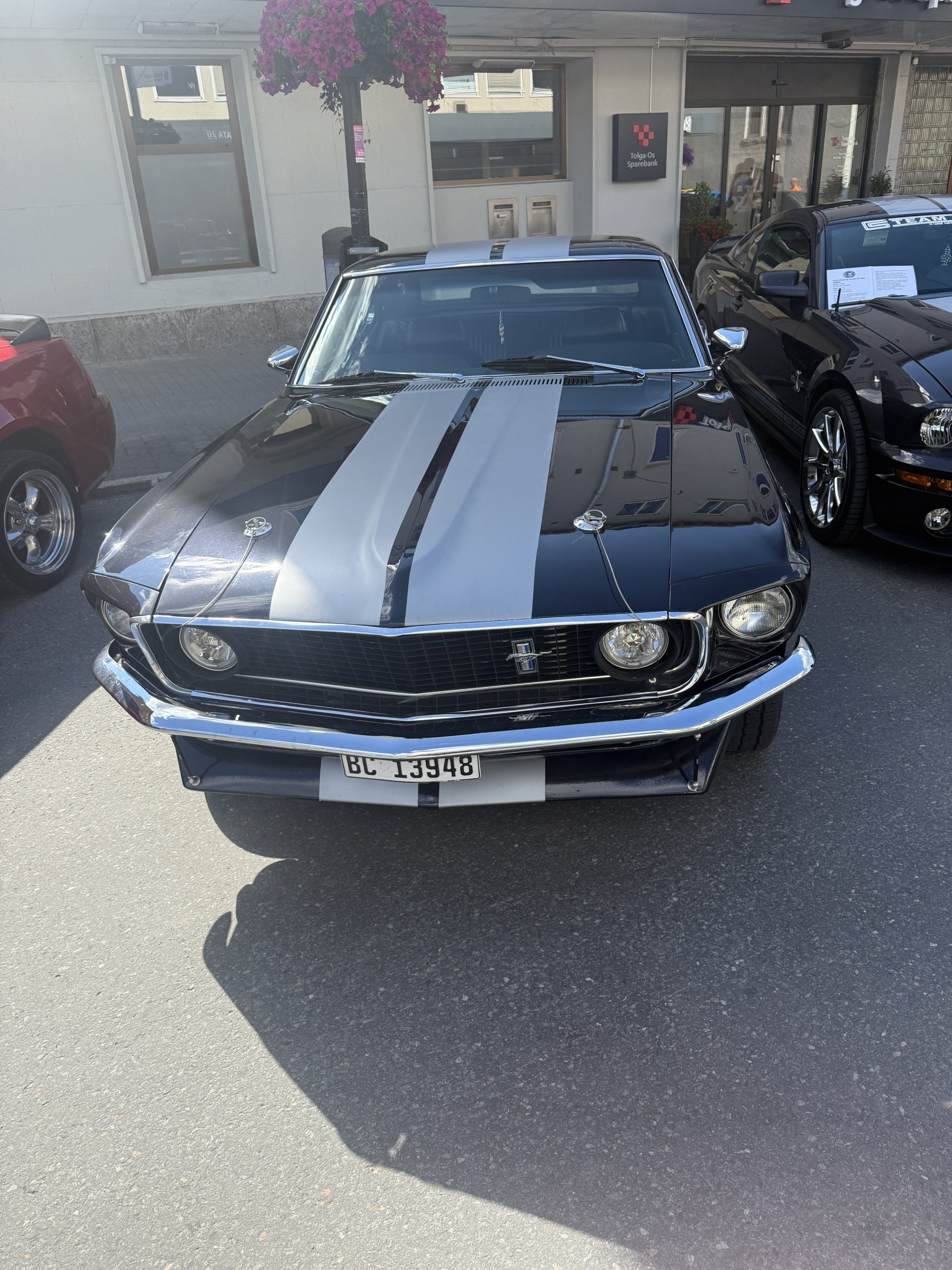 Bilde 11 fra Mustang Speed Week 2025