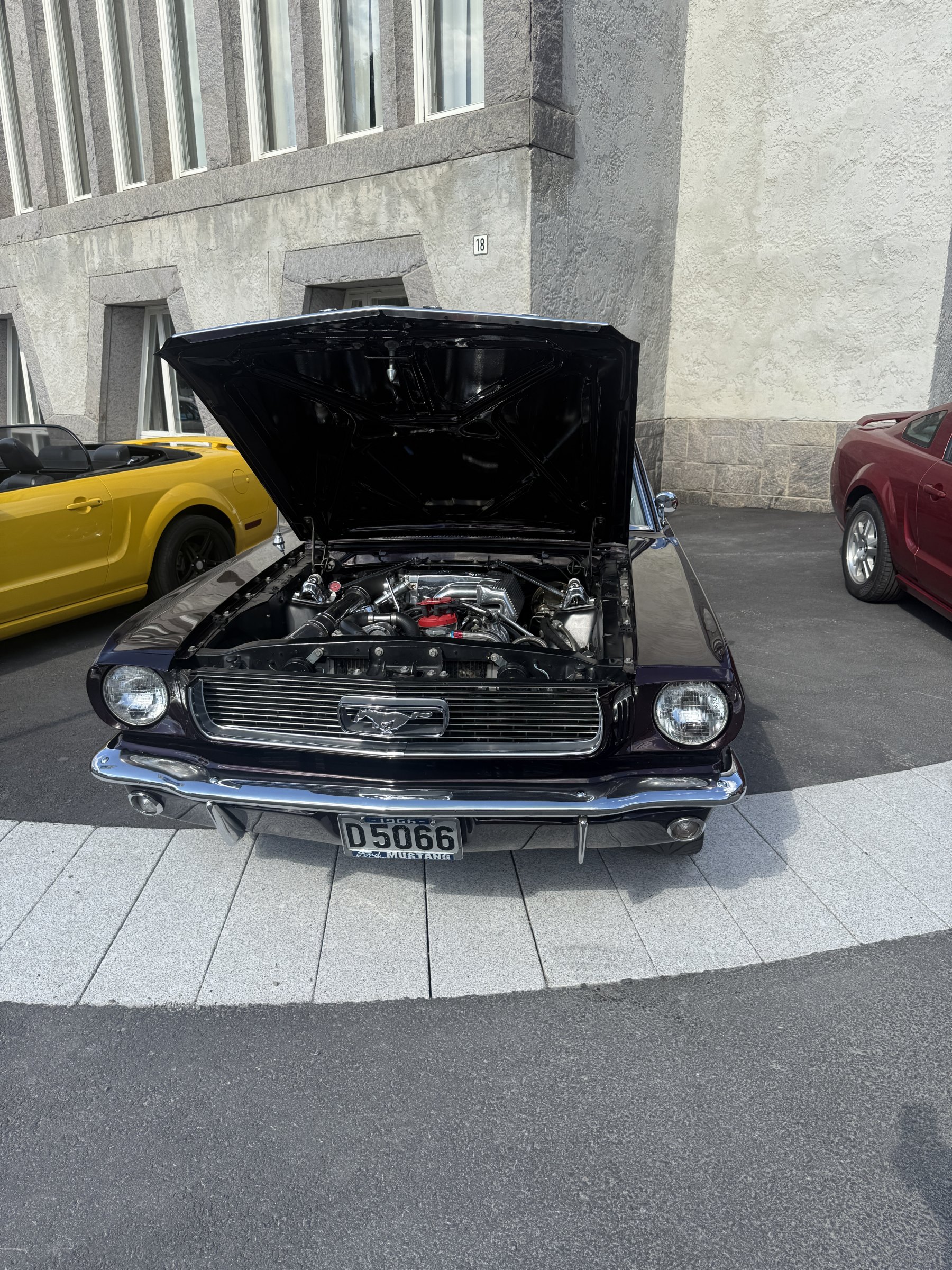 Bilde 18 fra Mustang Speed Week 2025