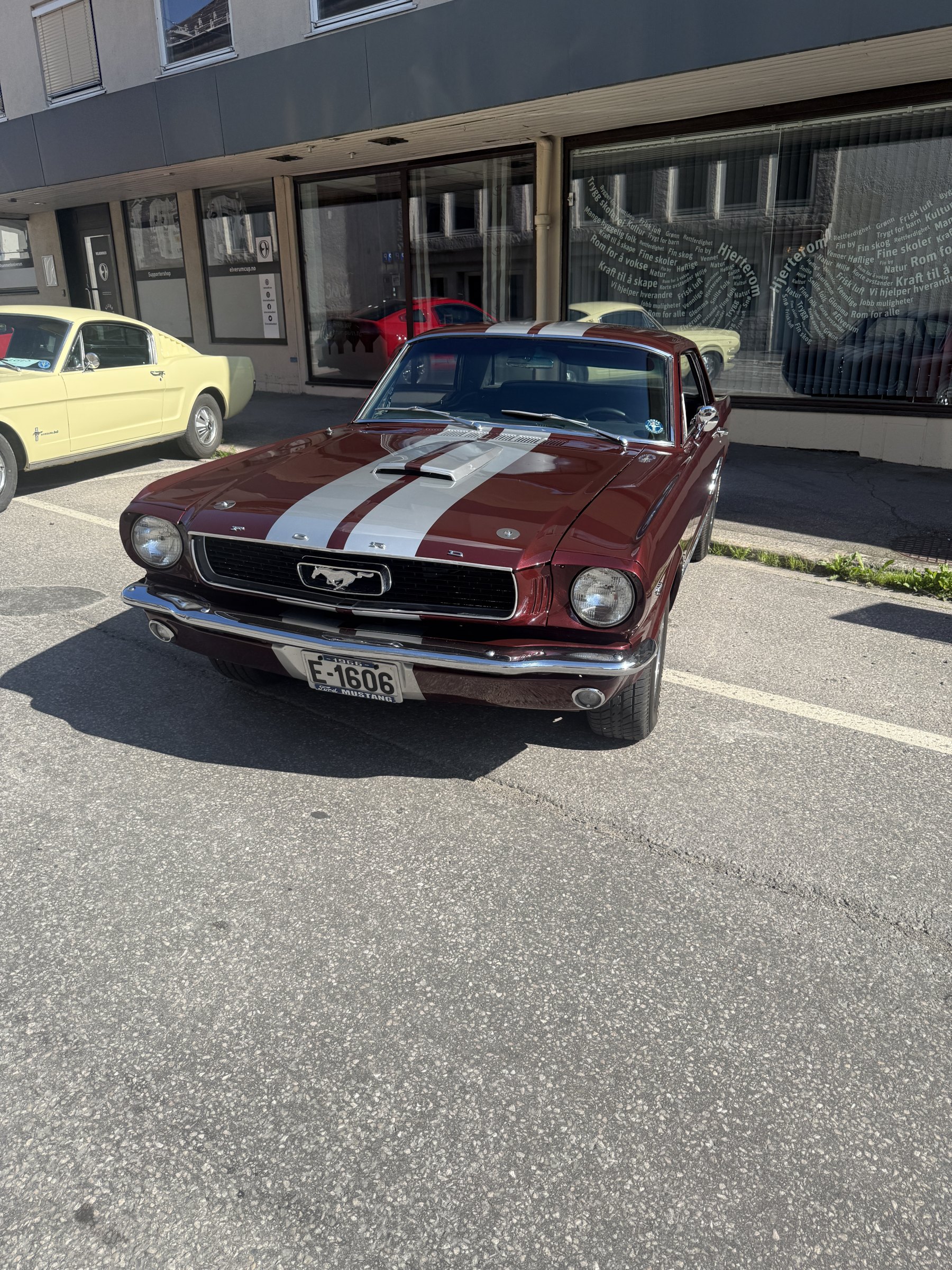 Bilde 31 fra Mustang Speed Week 2025