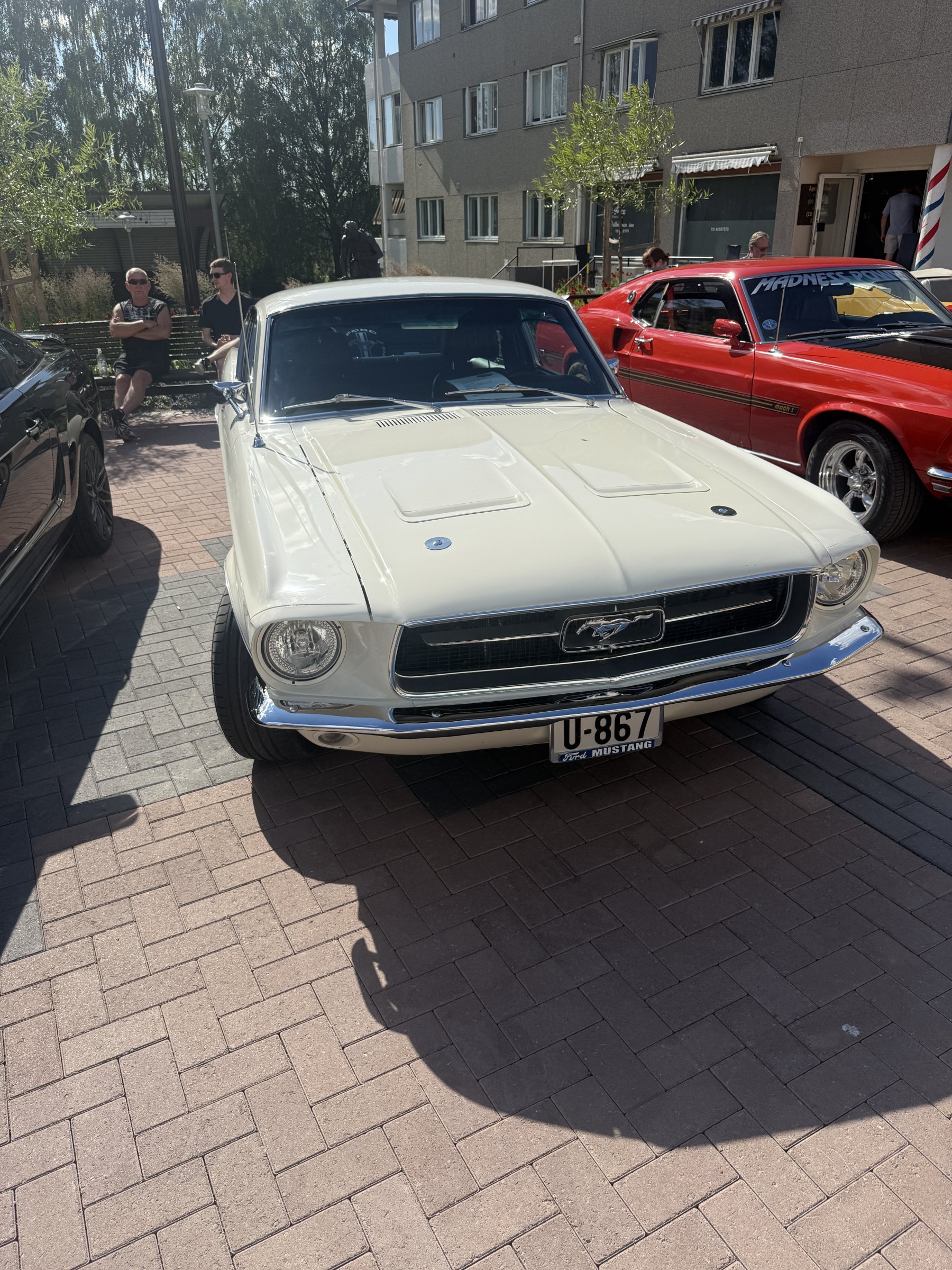 Bilde 36 fra Mustang Speed Week 2025