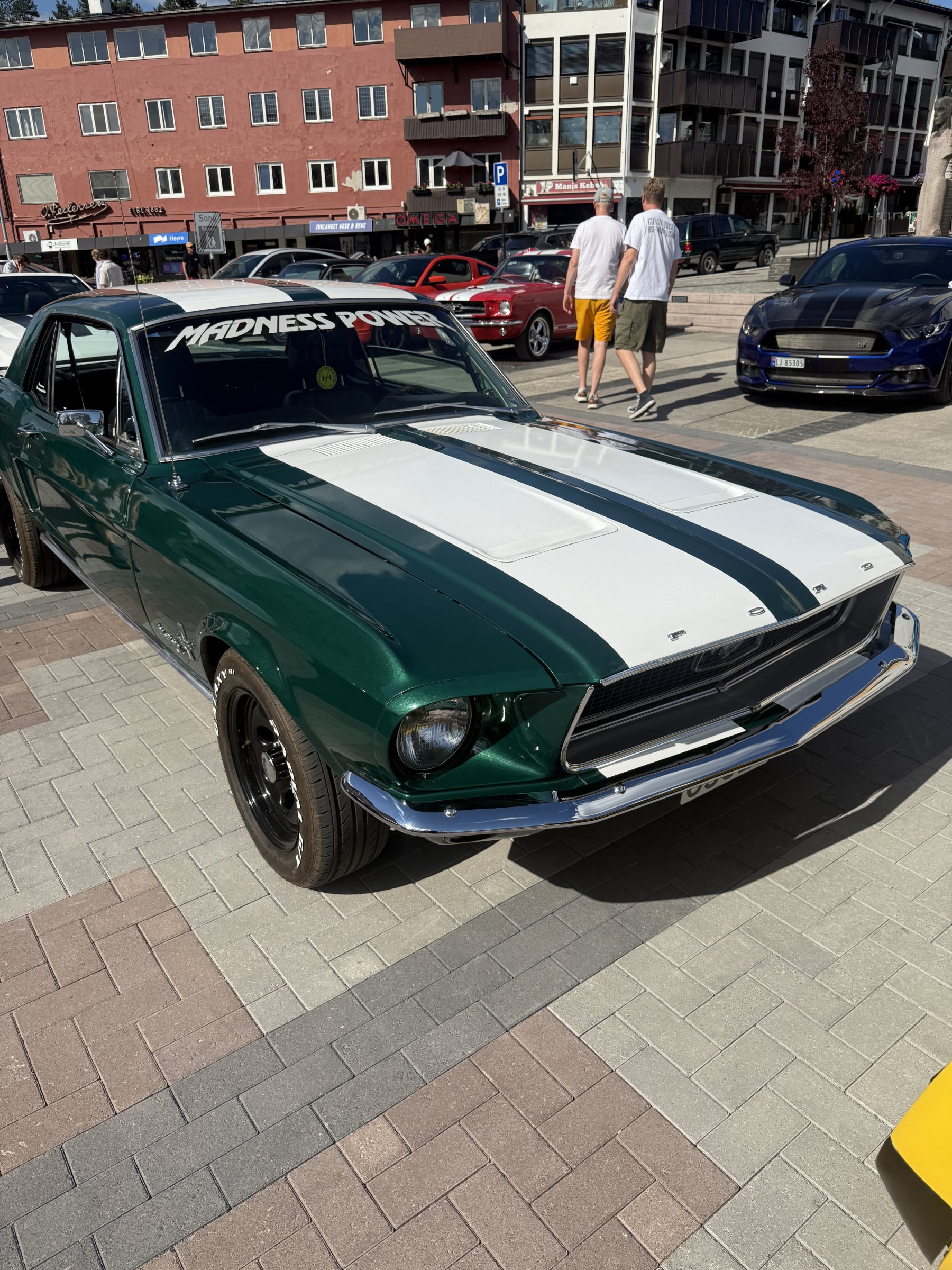 Bilde 35 fra Mustang Speed Week 2025