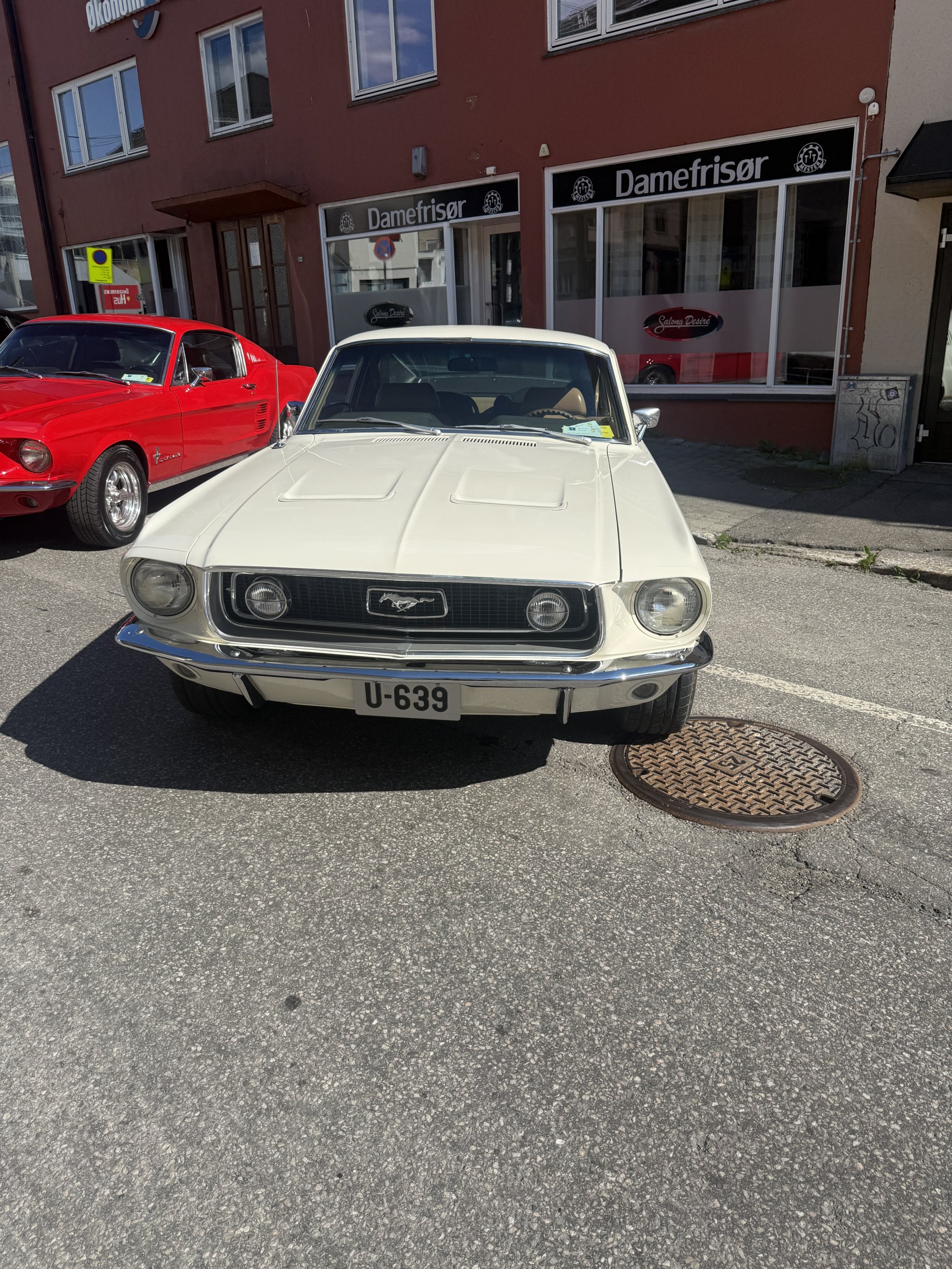 Bilde 26 fra Mustang Speed Week 2025
