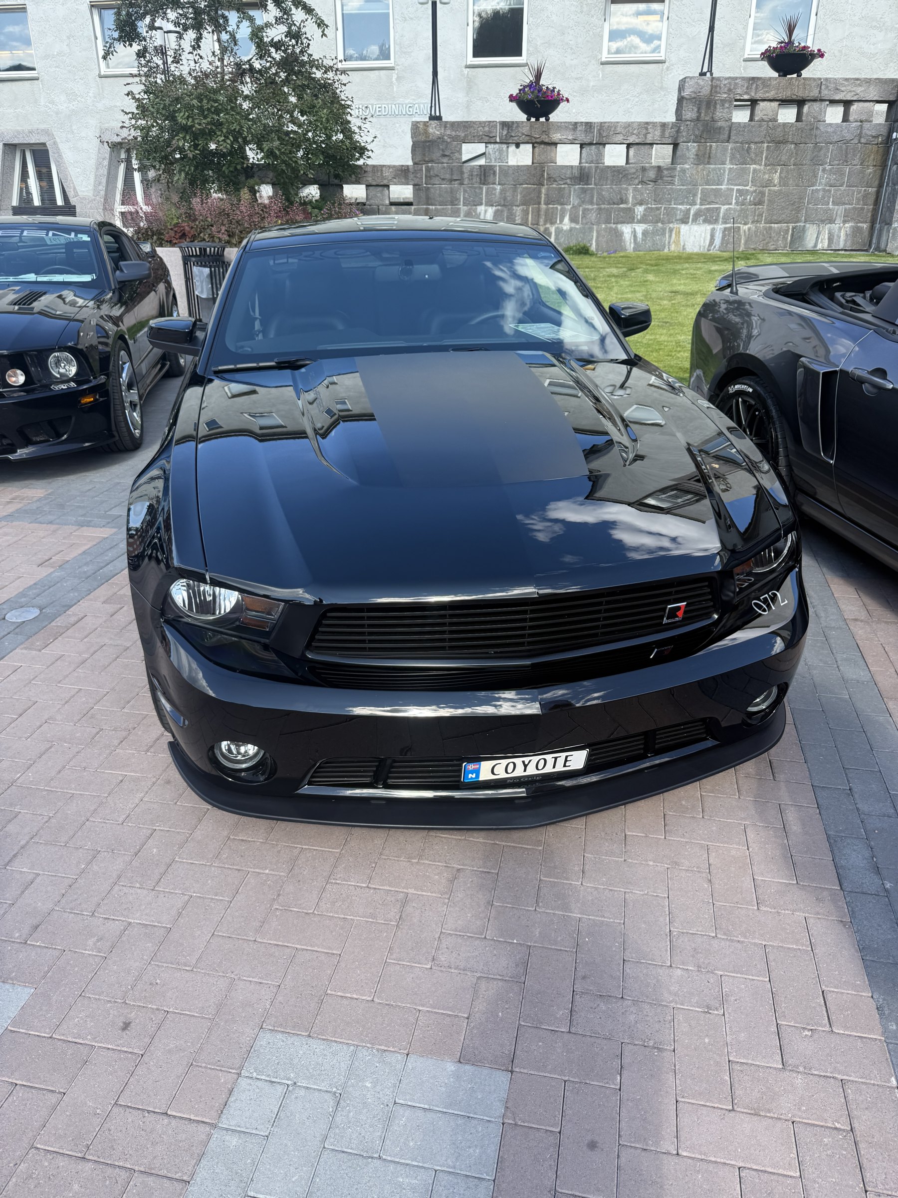 Bilde 39 fra Mustang Speed Week 2025