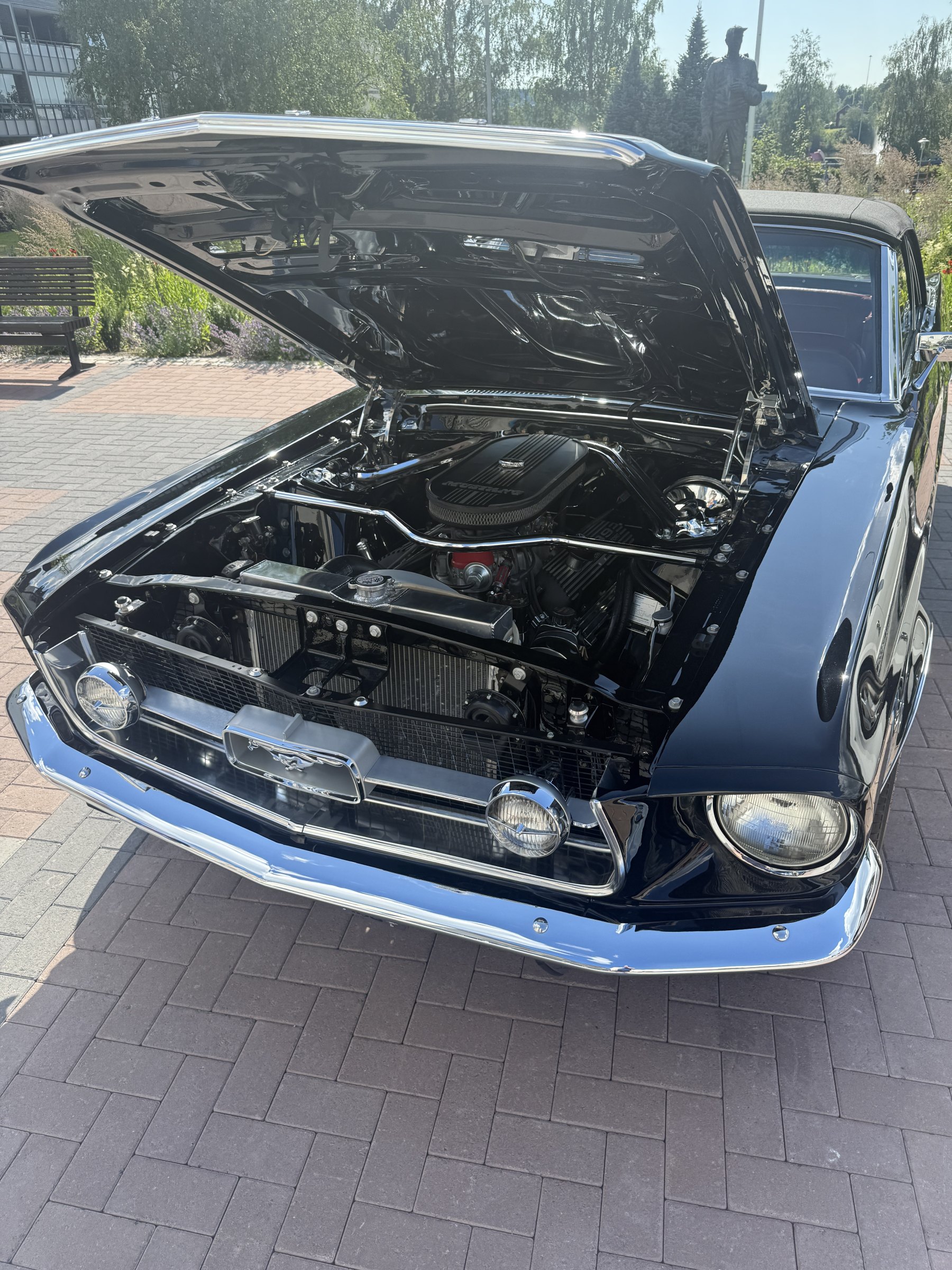 Bilde 30 fra Mustang Speed Week 2025