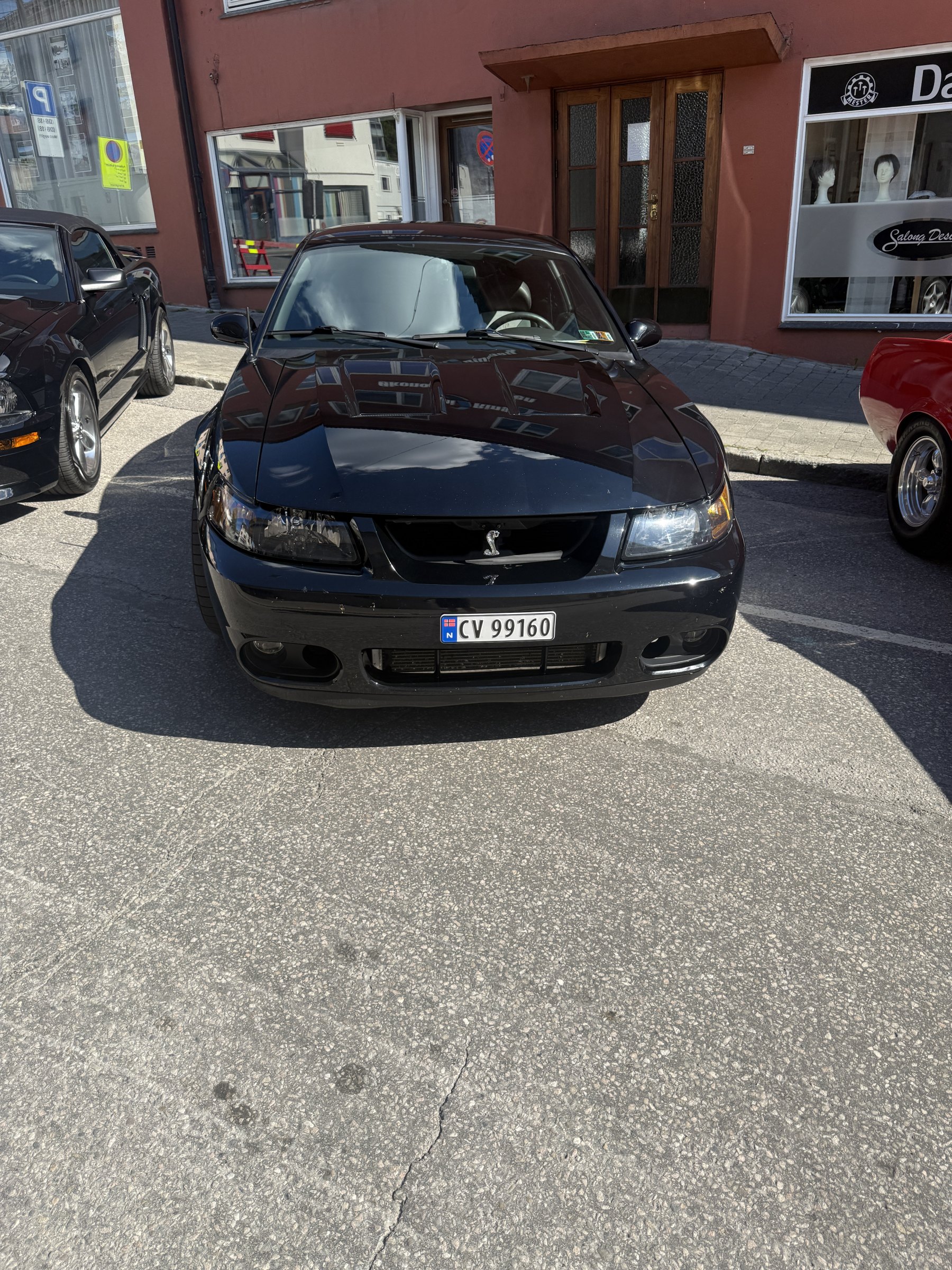 Bilde 22 fra Mustang Speed Week 2025