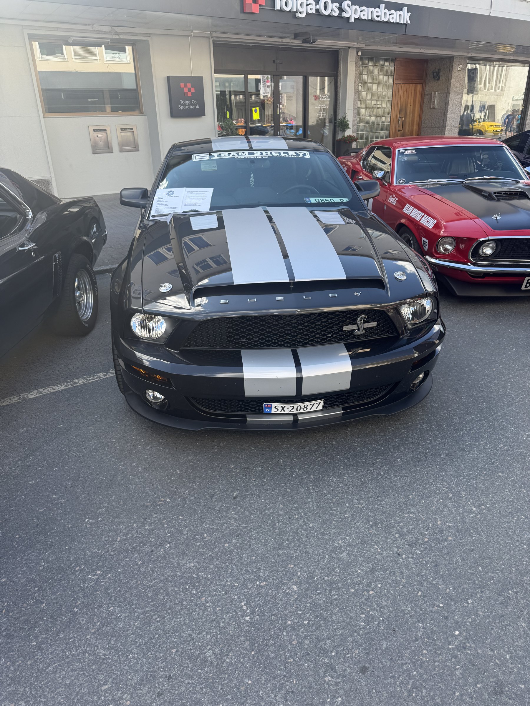 Bilde 2 fra Mustang Speed Week 2025