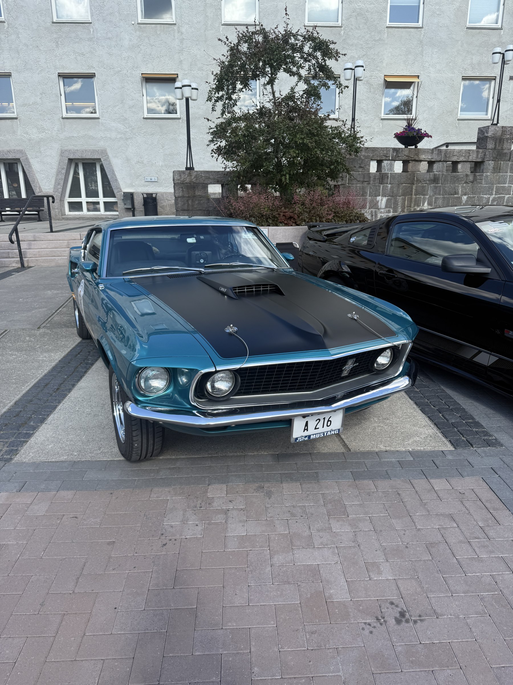 Bilde 40 fra Mustang Speed Week 2025